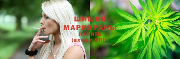 прущие грибы Богородицк