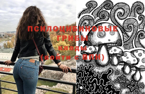 ешки Бугульма